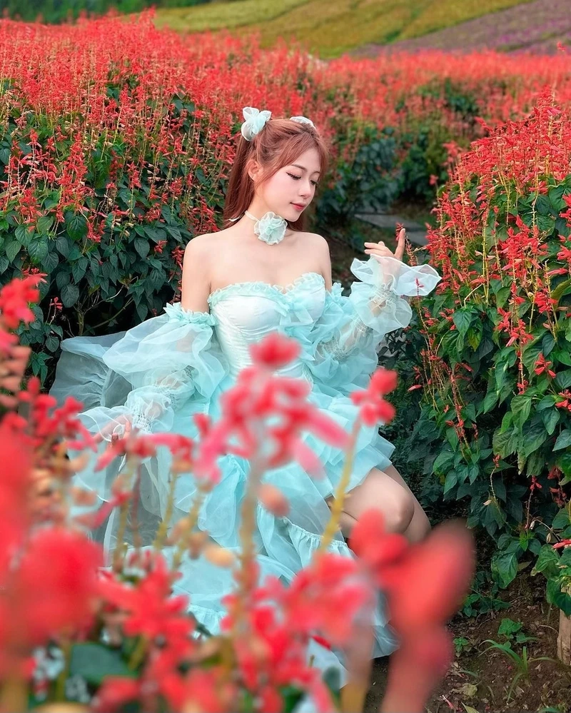 Ảnh gái xinh 2k8, thu hút sự chú ý với vẻ đẹp thuần khiết và tươi mới