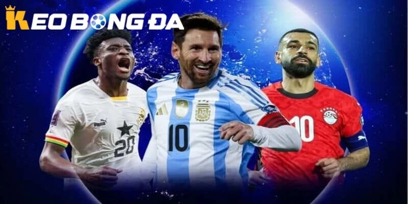 MMLive Thể Thao | Dự Đoán Vô Địch World Cup 2026 – Phân Tích Chi Tiết
